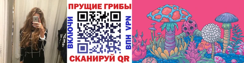 где найти   Йошкар-Ола  Псилоцибиновые грибы ЛСД 