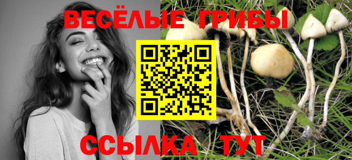 Псилоцибиновые грибы Magic Shrooms Йошкар-Ола