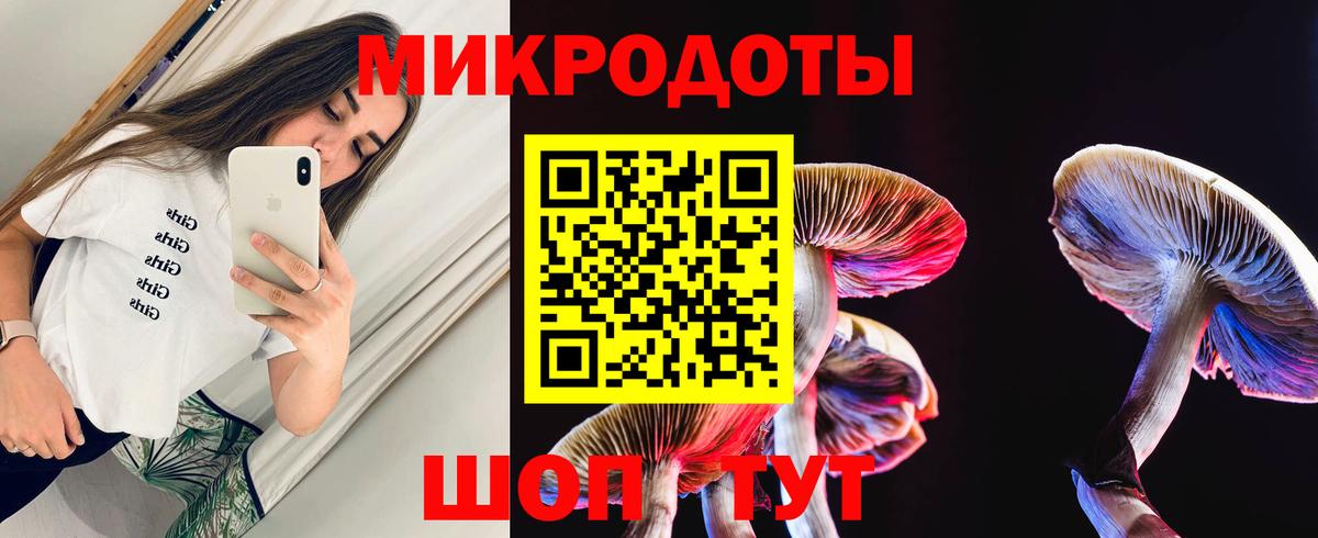 Йошкар-Ола  Галлюциногенные грибы Psilocybine cubensis  купить закладку  Вход с VPN 